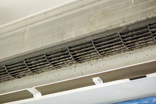 Best Air Duct Mold Removal  in Stottville, NY